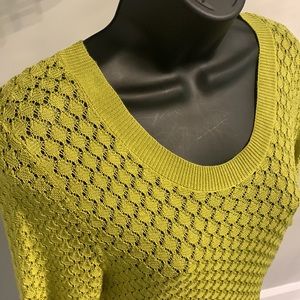 *3/$30* Ann Taylor Pistachio Green Pointelle Short Sleeve Sweater